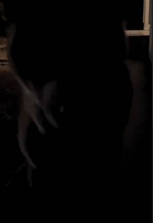 「R柴犬指定」　飼い主が投稿した動画に「見ちゃダメなやつ」「声出た」