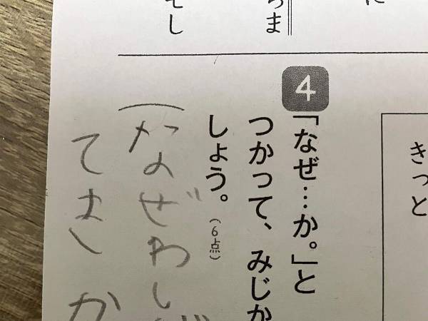 「なぜ～か」を使って文章を作りましょう　小１息子の解答が『大物感』溢れすぎ！