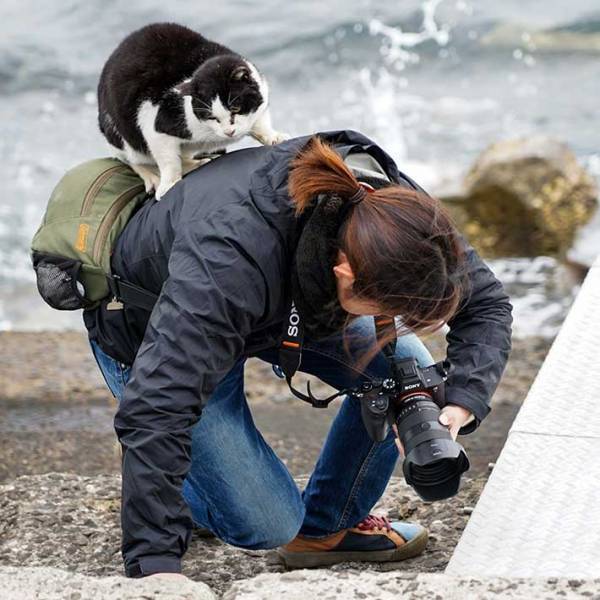 「腰が痛い原因はきっとこれ」　原因が分かる写真に「笑った」「これは腰にくるわ」