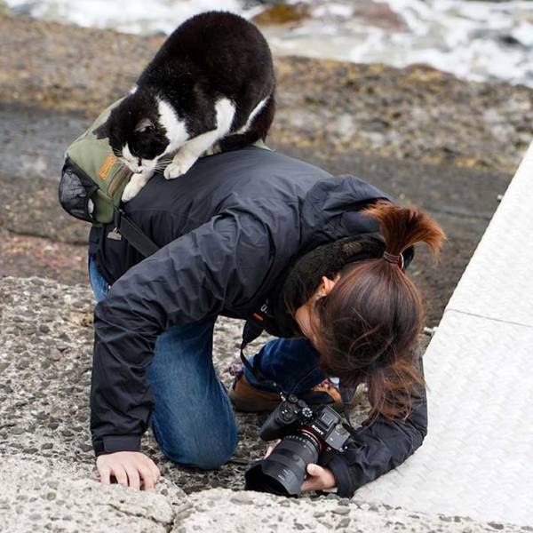 「腰が痛い原因はきっとこれ」　原因が分かる写真に「笑った」「これは腰にくるわ」