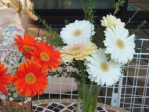 『切り花の写真』に写り込んでいたのは？　鬼気迫る表情に「ひえっ」「ごめんな」