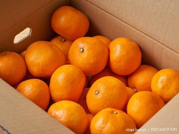 コレは盲点だった　ミカンを保存する時『ヘタを向ける方向』は？