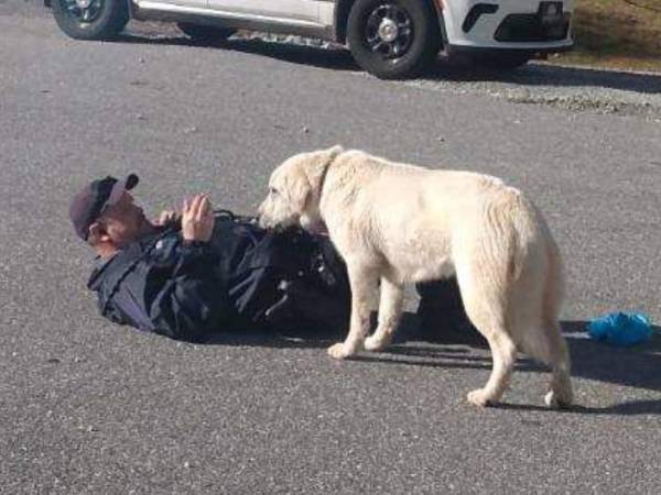 「この警察官、好き過ぎる！」　迷い犬を捕まえるために考えた『秘策』とは？