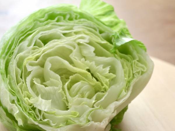 レタスをシャキシャキのまま保存できる方法とは？　誰でも簡単にできる裏技に「助かります」