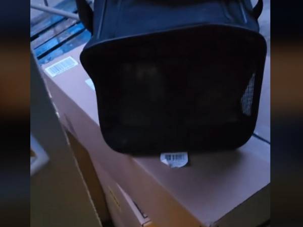 玄関先に置かれた『注文していない』荷物　中身に非難の声「信じられない」