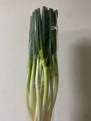 「花束みたいなネギ買った」　男性が公開した写真にギョッ！　「プロポーズができそうな量」