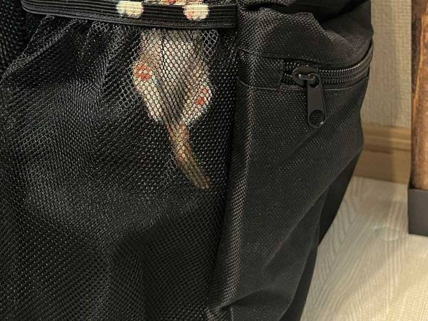 『夫のリュック』に１０万人がいいね！　「すれ違った人が二度見する」「羨ましい！」