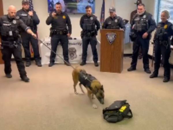 定年退職する、爆発物探知犬　最後のカバンを嗅ぎ終えた瞬間…？