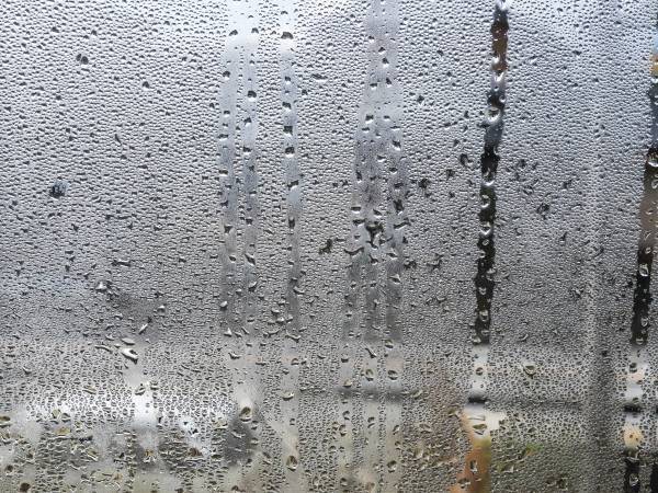 結露は東京保健医療局の指針を参考に　すぐ始められる対策で家中が快適になる