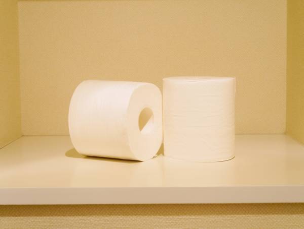 シングルとダブル、どっちを選ぶべき？　エリエールが教えるトイレットペーパーの違いに「初耳でした…」