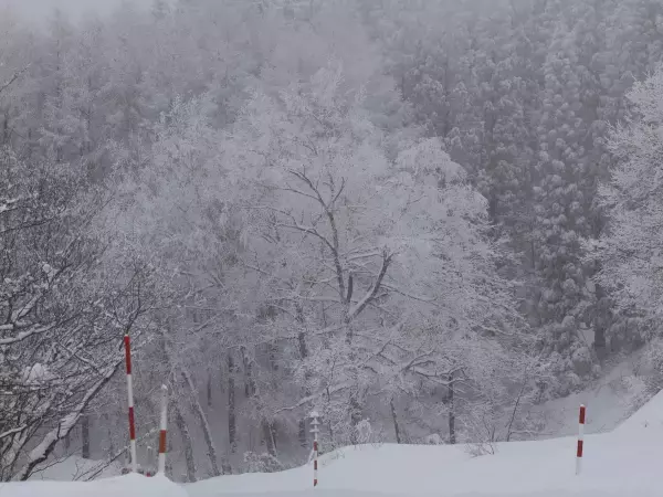 「寒波」「大寒波」「最強寒波」って何？　気象庁気象研究所に質問してみた結果