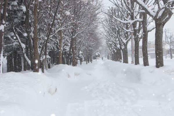 「寒波」「大寒波」「最強寒波」って何？　気象庁気象研究所に質問してみた結果
