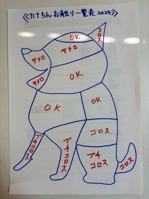 飼い主が『愛犬のお触り一覧表』作成　結果に「物騒」「OK部位の少なさに泣く」