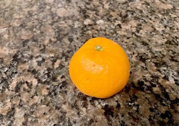 苦手な人はやってみて！　ミカンの筋をきれいにとる方法が気持ちいい