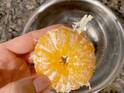 苦手な人はやってみて！　ミカンの筋をきれいにとる方法が気持ちいい