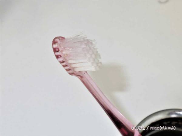 ライオン「歯ブラシを反対から見て！」　歯ブラシの交換タイミングを見極めるコツ