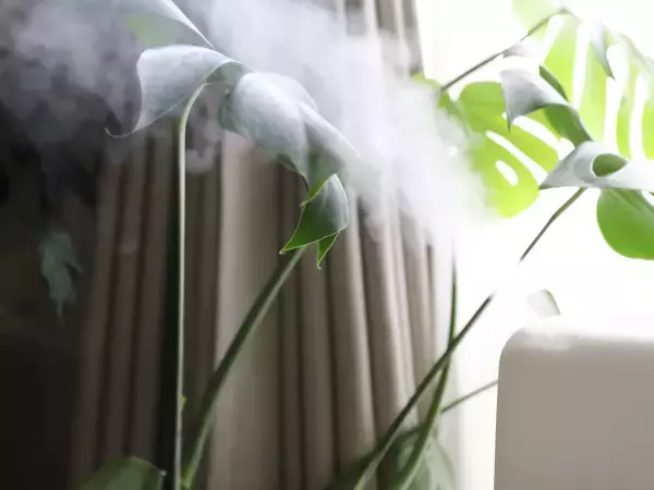 部屋の湿度、最適なのは何％？　スーモが教える湿度の基礎知識に「意識してみます」