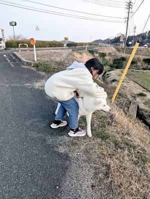 秋田犬の散歩を特訓する小学生　車が近付いてくると…「大正解」「飼い主の鑑」