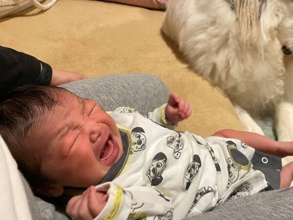新生児が泣いても「動けない！」　その理由が分かる１枚の写真に共感続出