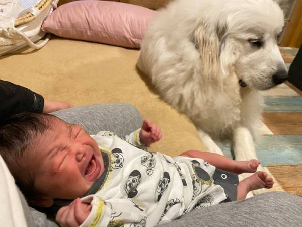 新生児が泣いても「動けない！」　その理由が分かる１枚の写真に共感続出