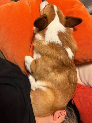 「寝違えたかな」と首を痛がる夫　妻が目撃した『原因』に、クスッとする人が続出