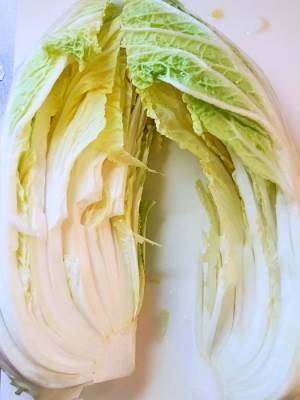 白菜の葉がまな板で散らばらない切り方　「そこに切れ込みを」「なるほど」