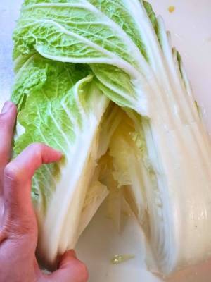 白菜の葉がまな板で散らばらない切り方　「そこに切れ込みを」「なるほど」