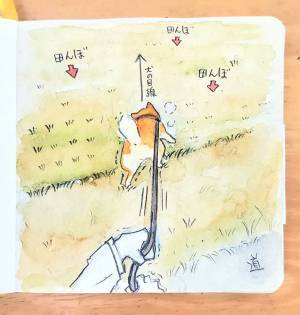 絶対にやめてほしい！　柴犬が目指す方向に「待て待て」「道を歩いて！」