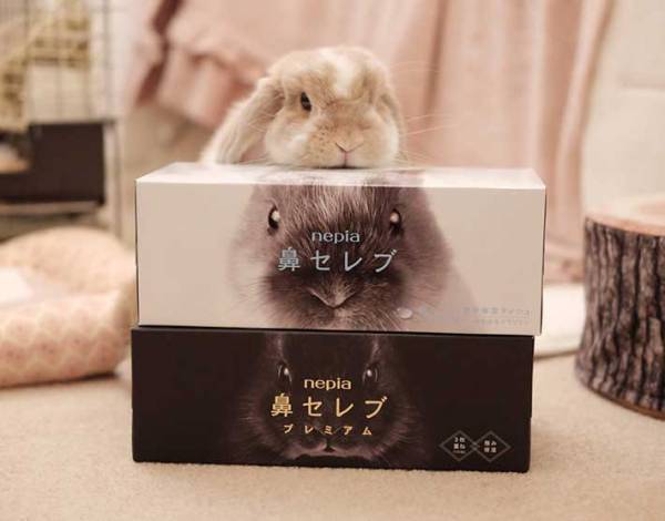 縦に積まれた『鼻セレブ』の写真に１０万いいね　「優勝」「一番上のをください…！」