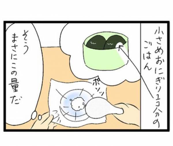 ゆかりのおにぎりを作る母親　お弁当作りでありがちな『失敗』に「分かる」「私もよくやります」