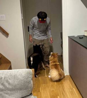 節分の鬼が困惑している理由は？　柴犬の反応に「笑った」「桃太郎が泣いてる」