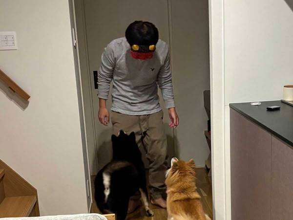 節分の鬼が困惑している理由は？　柴犬の反応に「笑った」「桃太郎が泣いてる」