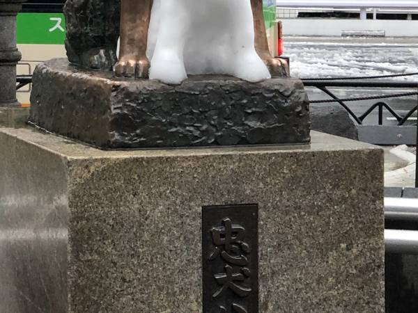大雪が降った翌朝のハチ公　まさかの変化に「二度見した」「最高かよ」