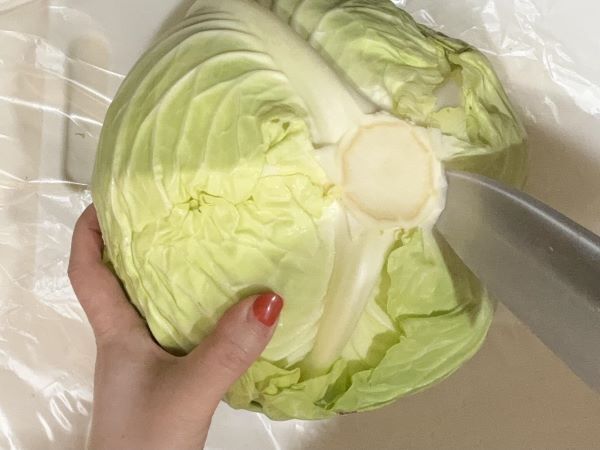 キャベツを効率的な解体するには？　カゴメの情報に「初めて知りました」