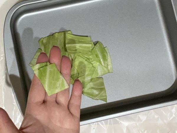 キャベツを効率的な解体するには？　カゴメの情報に「初めて知りました」