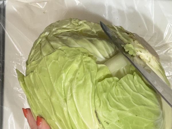 キャベツを効率的な解体するには？　カゴメの情報に「初めて知りました」