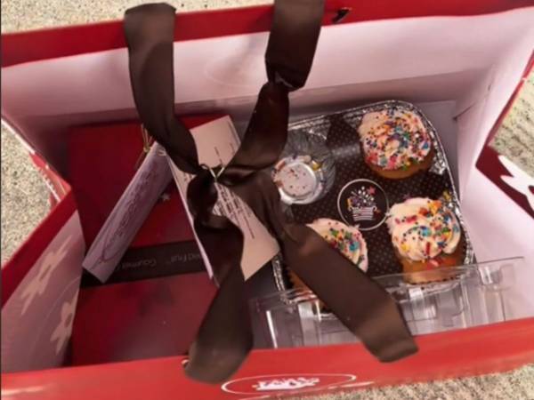 子供のケーキが盗まれた！　『現行犯』の姿に「爆笑した」「これは責められない」