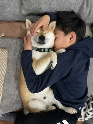 柴犬とハグをしたまま？　幸せすぎる光景に「なんて尊い」「人生最高の瞬間だ」
