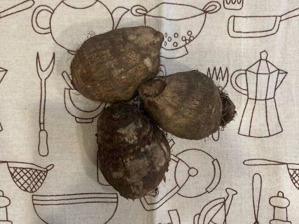 カビやすいサトイモ　便利な保存方法に「やってみます」「助かる」