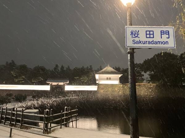 雪の東京の写真
