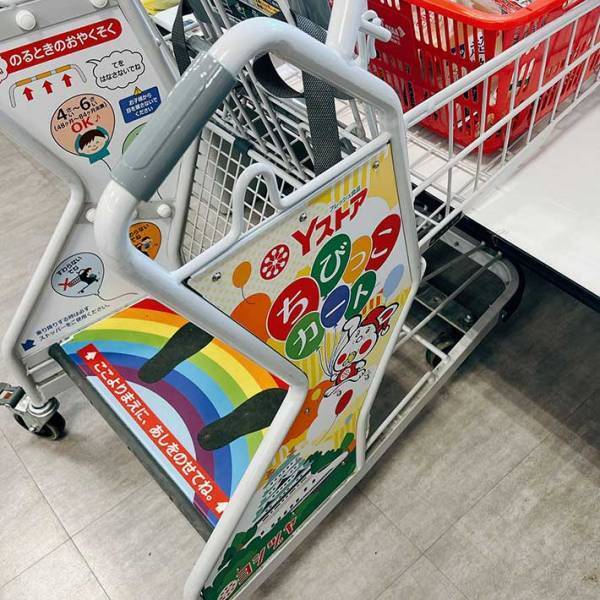 スーパーで会計後、カートを見て気付いたことは？　「分かる～」「すっかり洗脳されている」