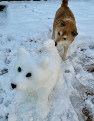 飼い主が作った犬の雪像　それを見た柴犬の行動に、キュン！