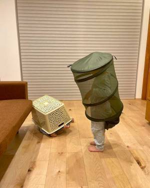 ５歳と３歳の『かくれんぼ』が平和すぎる　写真に１１万人が『いいね！』