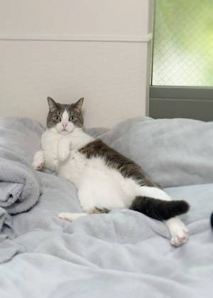 くしゃみをした飼い主　背後から『小さい鳴き声』が聞こえ、振り返ると？