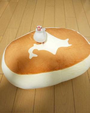 「可愛すぎる」　ぬいぐるみに降り立った文鳥　しかしそこは…！