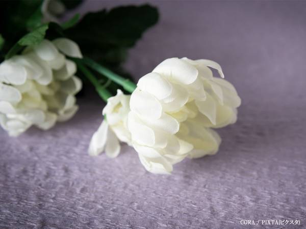 脚本家・相沢友子が芦原妃名子さんを追悼　「頭が真っ白になりました」