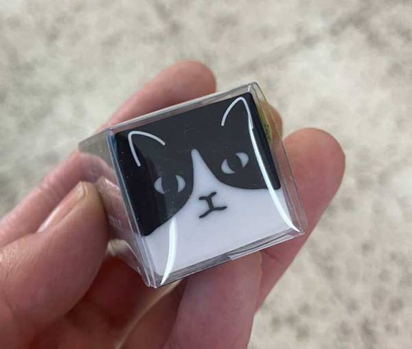 有隣堂に立ち寄った客　文具コーナーで見つけた消しゴムが…　「え、欲しい」