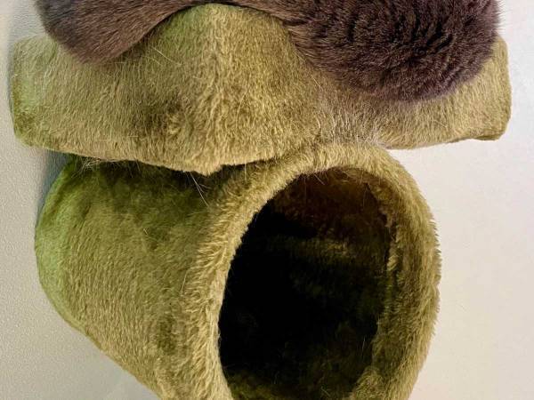 「猫かどうか、怪しい」　キャットタワーの上で鎮座していたのは？　「新種の生き物」「ツチノコか」