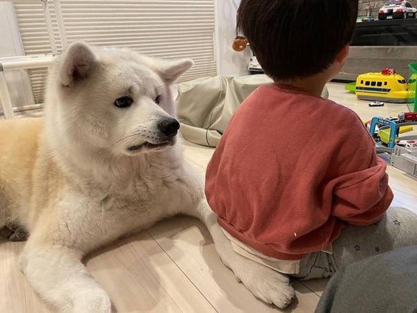 幼い息子に、脚をそっとふまれた愛犬　心の中が見える『表情』をご覧ください