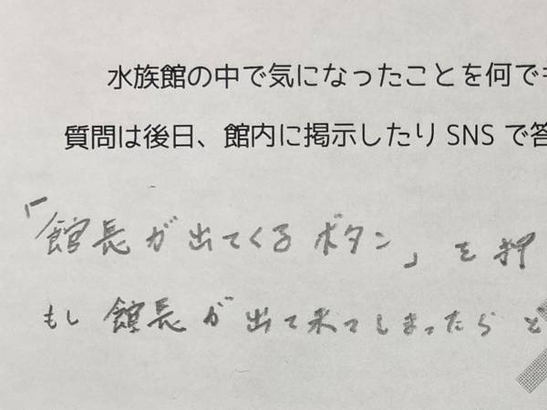 来館者「どうすればいいですか？」　水族館への質問と回答に「じわじわくる」